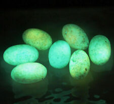 1pc Glow In The Dark Tibetan Wealth God Ancient Luminous Egg Stone Old Dzi Bead picture
