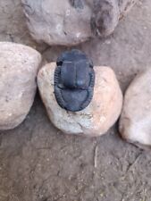 Scarab Pharaonic Anubis Rare ANCIENT EGYPTIAN Antique Antiquities Egypt BC picture