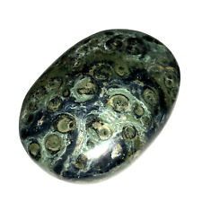XL Kambaba Jasper Palm Stone Green Rock Crystal Healing Reiki Polished Worry Sto picture