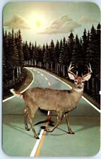 Deer in the road display - Call of the Wild Museum - Gaylord, Michigan, USA picture