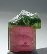 20cts Beautiful Bicolour Tourmaline Crystal Combined With Small Baby Tourmaline  picture