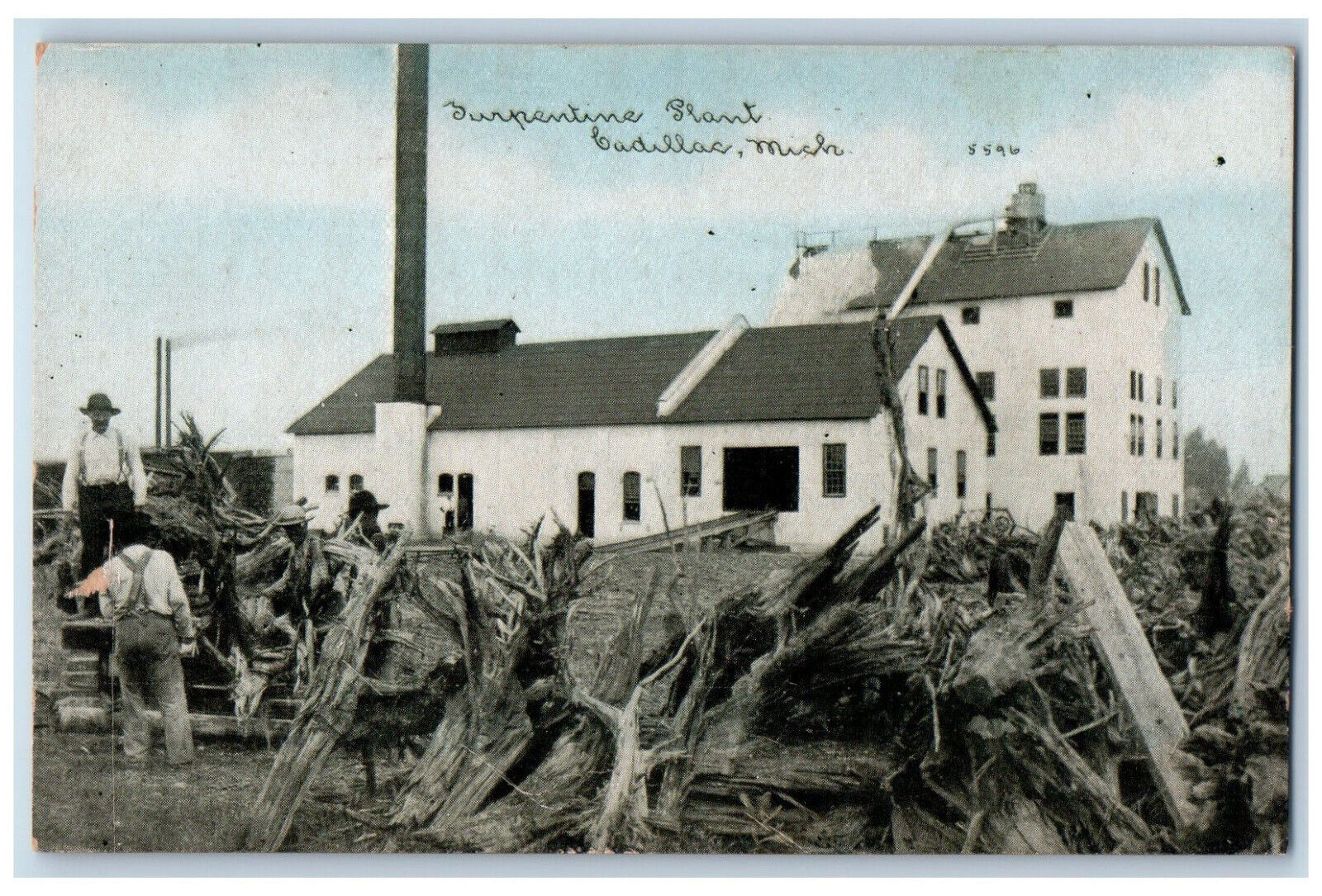 c1905 View Of Serpentine Plant HouseCadillac Michigan MI Antique Postcard