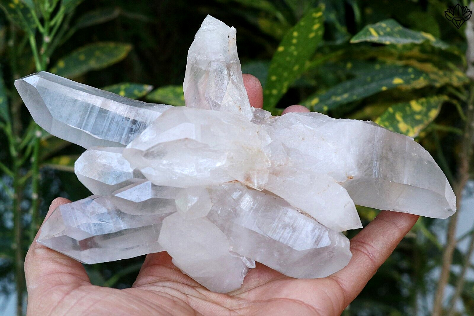 572 gm New Find White Pointed Quartz Crystal Cluster Mineral Specimen Healing
