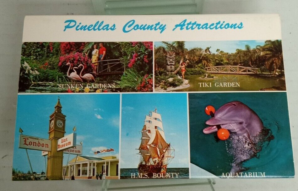 Vintage Postcard Lot Pinellas County Attractions Photographs