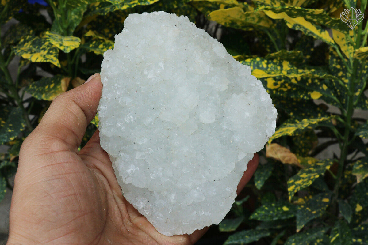 Natural Indian Cluster Apophyllite Minerals Specimen 572 gm Home Decor