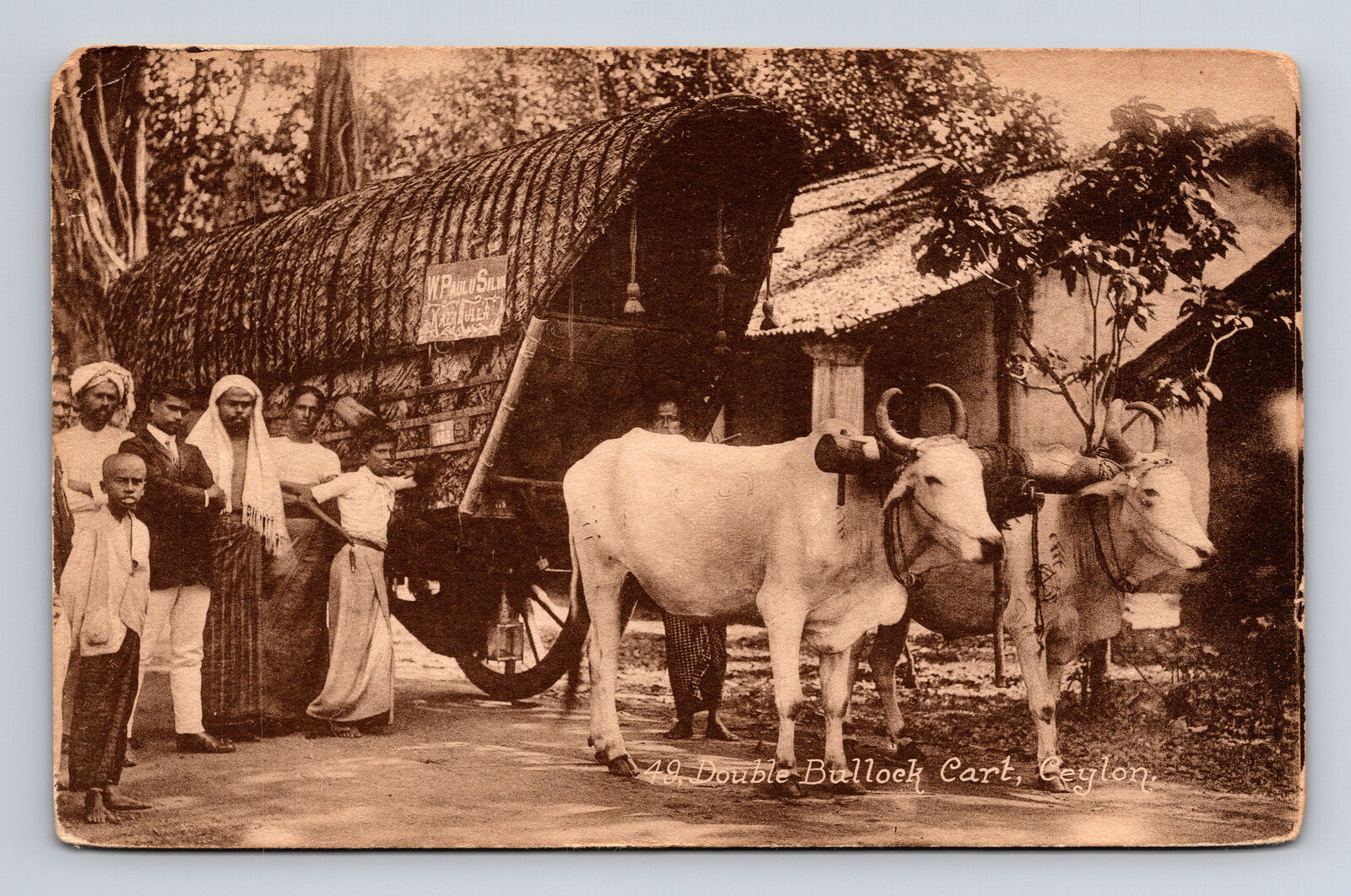 Double Bullock Ox Cart Wagon & Men Posing Ceylon Sri Lanka Postcard