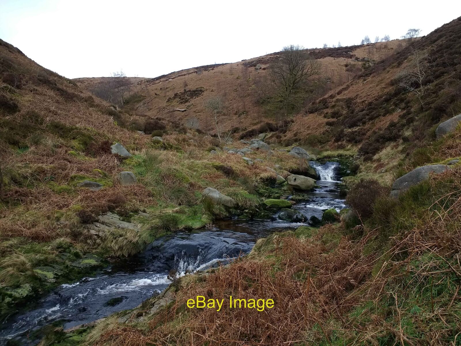 Photo 12x8 Looking upstream at a set of tiny waterfalls on the Brennand ri c2021