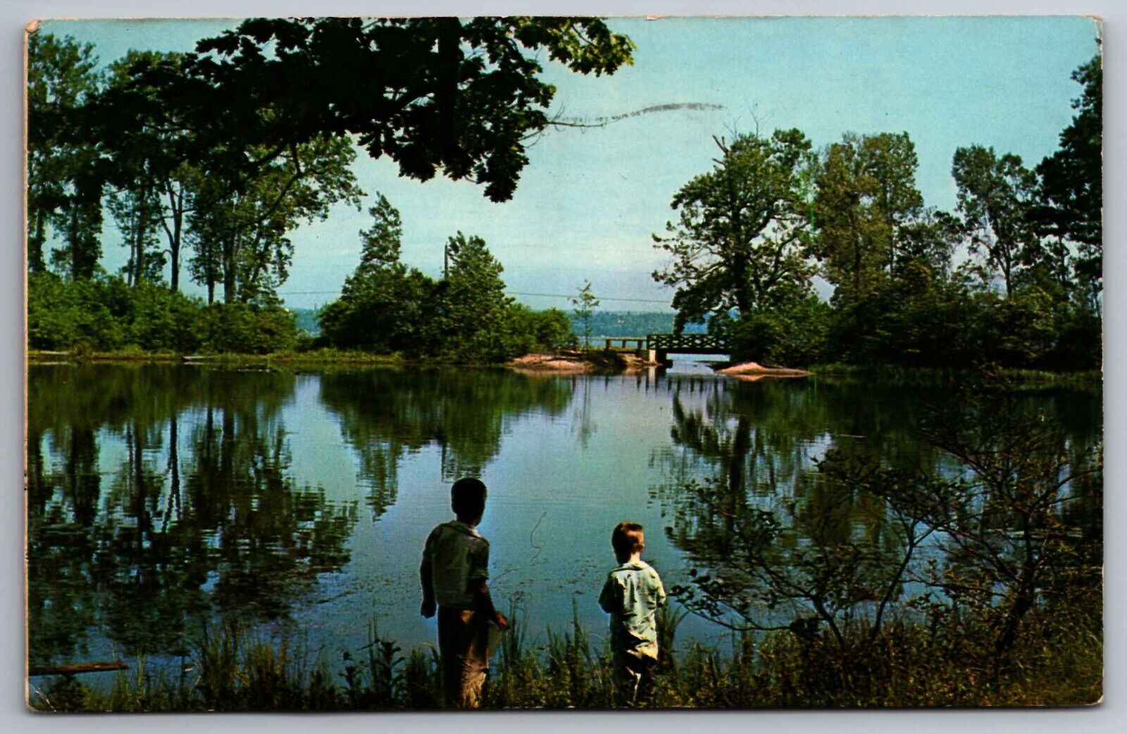 Postcard Lily Pond Presque Isle State Park Erie Pennsylvania      G 18