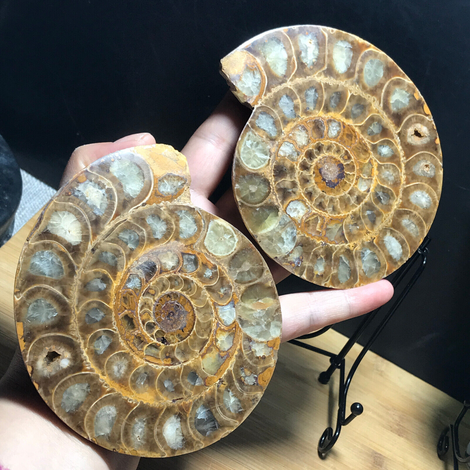 411g 1pair of Split Ammonite Fossil Specimen Shell Healing Madagascar 20