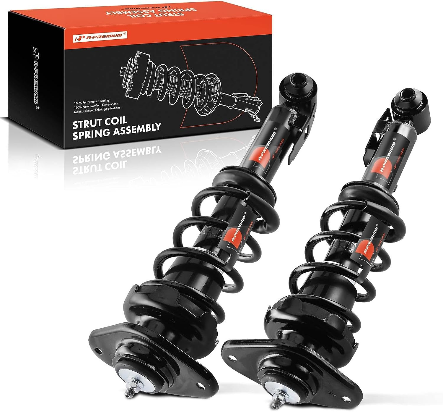 Rear Pair (2) Complete Strut & Coil Spring Assembly Compatible with Mini Cooper 