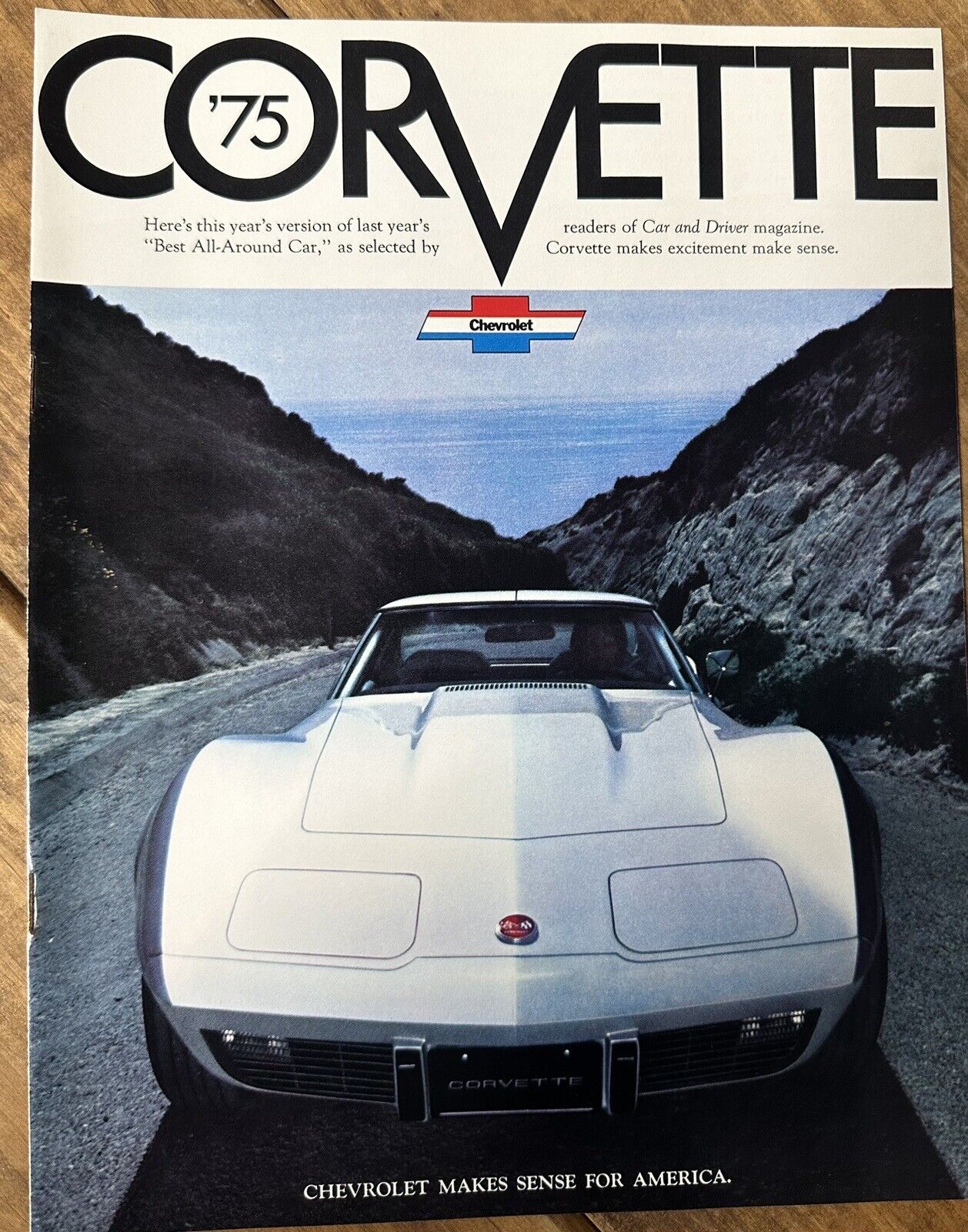 1975-Chevrolet Dealer Sales Flyer/Brochure-Chevrolet Corvette NOS