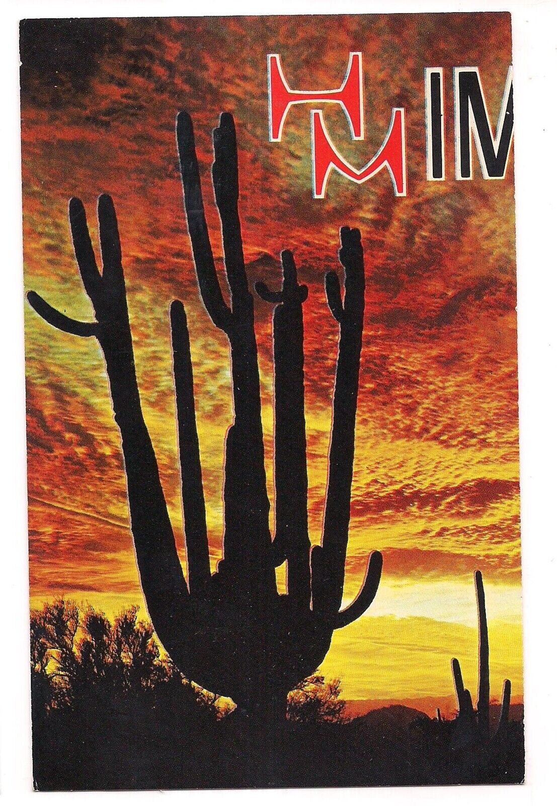 SAGUARO ORGAN PIPE CACTUS Sunset HMIM Arizona Postcard AZ ERROR BACK SIDE