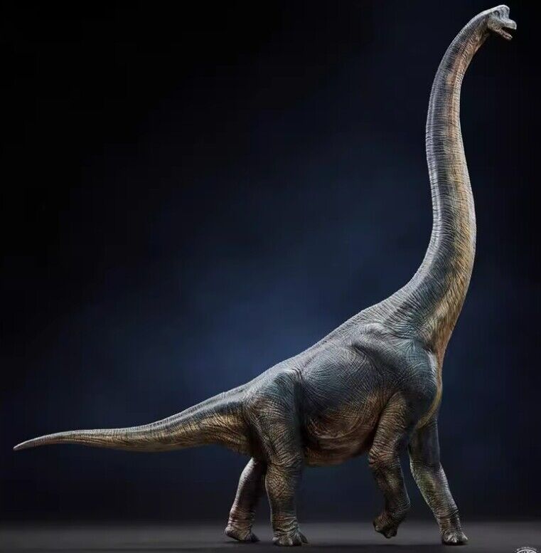 1/35 W-Dragon Giraffatitan Brachiosaurus Sauropoda Dinosaur Figure Collector Toy
