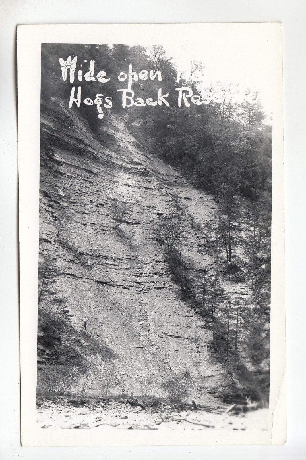 Real Photo Postcard Wide Open Trail Hogs Back Reserve near Diana NY  