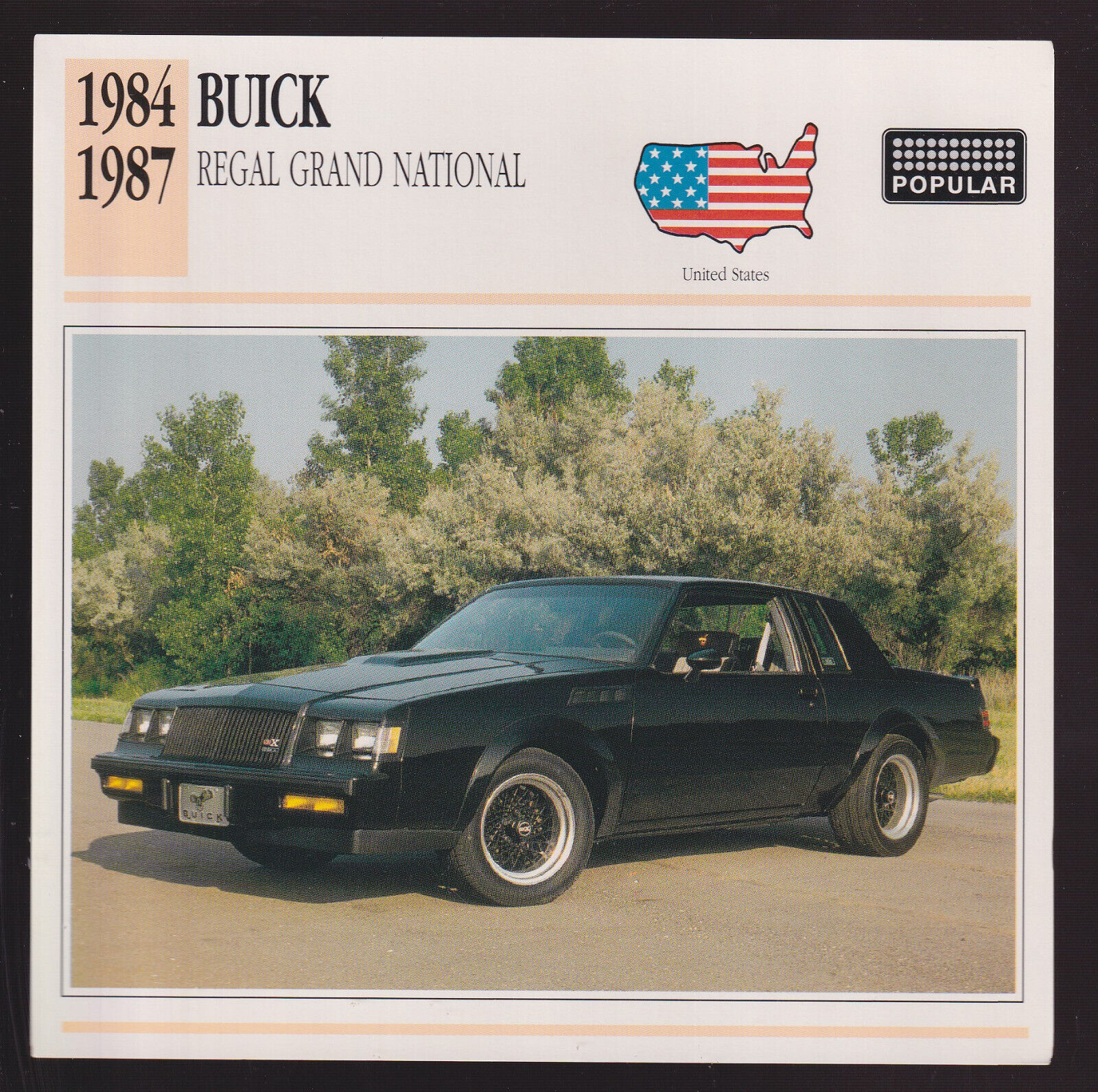 1984-1987 Buick Regal Grand National GN GNX Car Photo Spec Sheet CARD 1985 1986