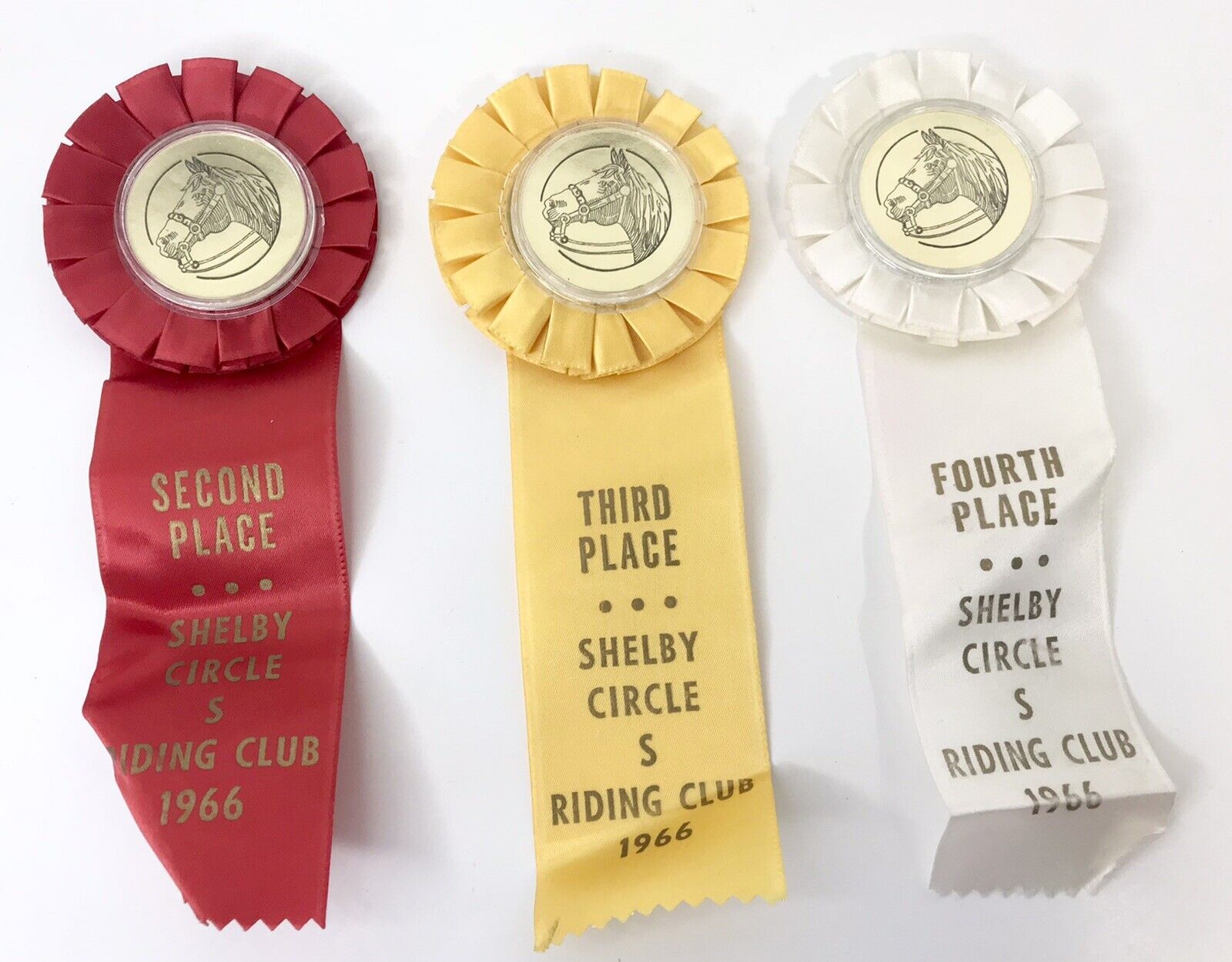 1966 Shelby Circle S Horse Show Award Ribbons  Equestrian Award County Fair