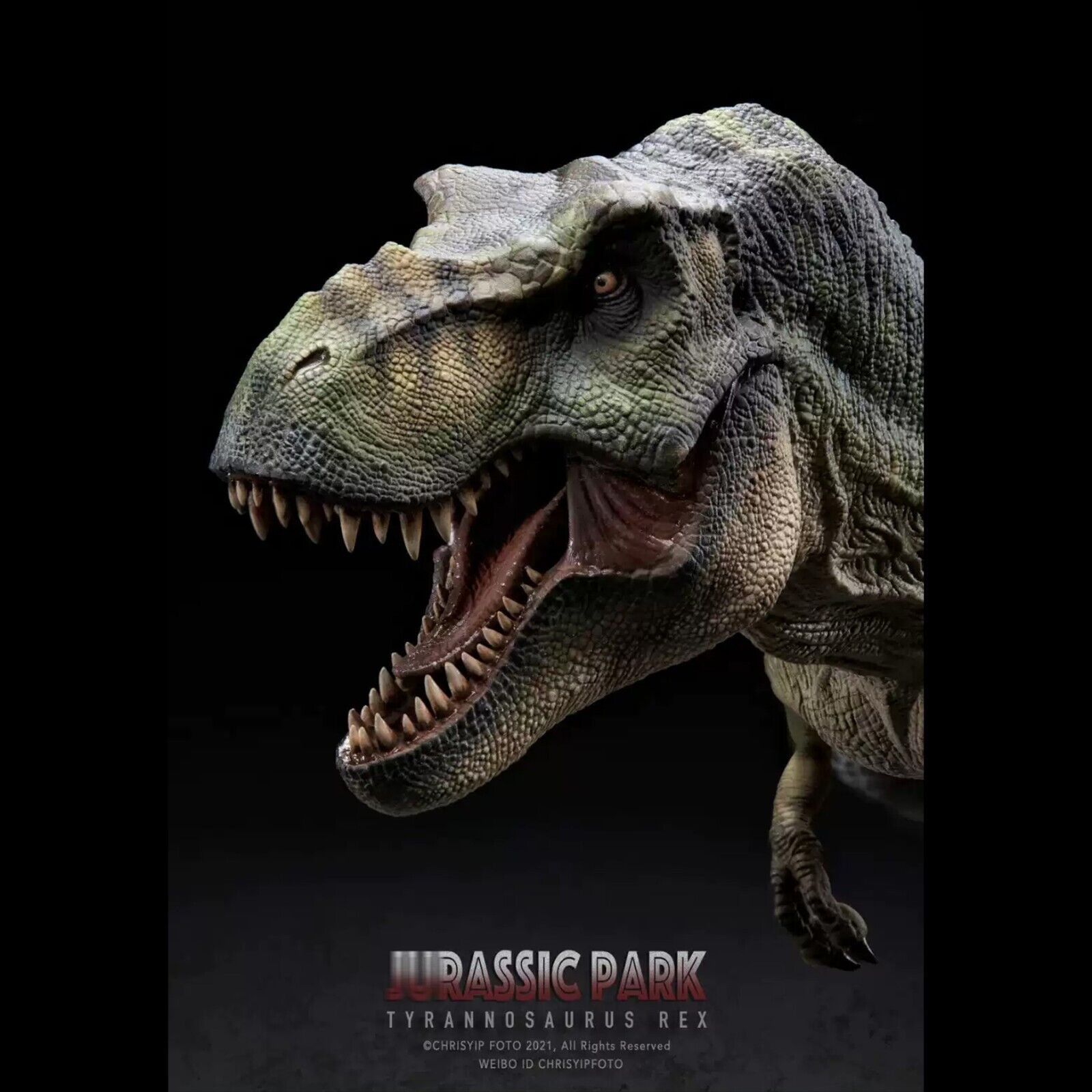 Jurassic Park 3 Tyrannosaurus Rex W Dragon Studio 1/35 Scale Licensed Statue
