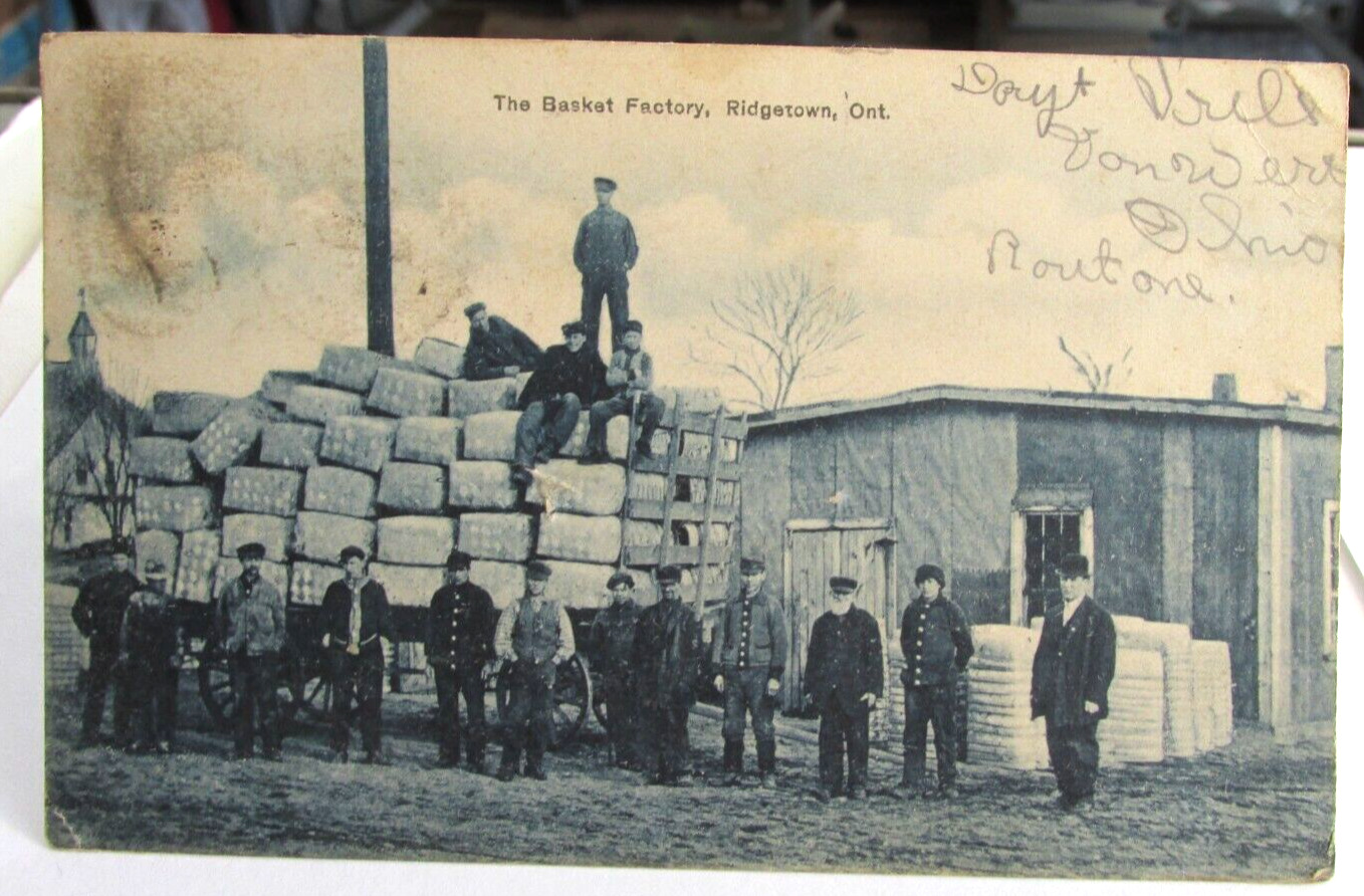 1914 RIDGETOWN ONTARIO CANADA Postcard Basket Factory, Posted 1914, Ont. Ca.