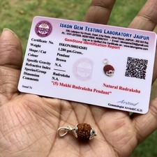 Lab Certified 925 Silver + 5 Mukhi RUDRAKSHA Panchmukhi Rudraksh 5 Face Pendant picture