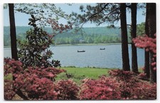Vintage Callaway Gardens GA Mirro-Krome Postcard Mountain Creek Lake Azaleas picture