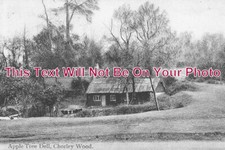 HF 187 - Apple Tree Dell, Chorley Wood, Hertfordshire c1908 picture