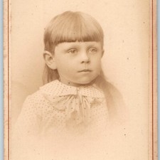 c1880s Scranton PA Carte de Visite CDV Photo Cute Little Girl Henry Frey 4