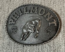 Vintage Philmont Scout Ranch Metal Belt Buckle picture