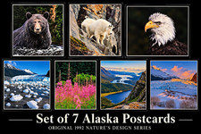 Vintage 1992 Alaska Nature Postcards Lot of 7 NOS Wildlife Glacier Scenic Views picture