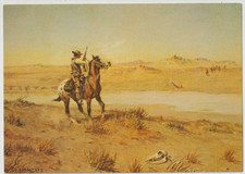 APPALOOSA Cowboy Horse Art Postcard ARTIST O C SELTZER TULSA OKLAHOMA picture