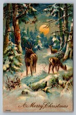 Postcard A Merry Christmas Buck Deer Snow Moonlit Night Embossed Unposted   J615 picture