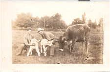Theo J. Kurtz with his Brown Swiss Cattle Calves Cedarburg WI RPPC Postcard picture