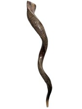 Shofar Yemenite Kudu Horn XXL 40”-44” New KOSHER Half Polished USA picture