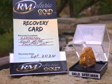 Gold Ore Specimen 5.61g Soft & Malleable ☆NO TARIFFS☆20% Off Was $109 picture