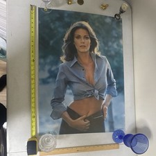 Vintage 1978 Cheryl Carter Poster 28x20 Pro Arts Inc. #14-594 Retro Pin-Up picture