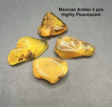 Mexican Genuine Amber 4 pcs 7.4g Total  AUTHENTIC  - Highly Fluorescent picture