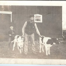 c1920s Father Son Boys Men Two Calves Farm Animals Agriculture Snapshot Photo picture