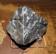 BEAUTIFUL 834 GM. ETCHED CAMPO DEL CIELO METEORITE QUARTER CUT 1.83 LBS SILICATE picture