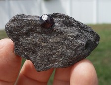 Red Almandine GARNET Crystal in Matrix from Wrangell Island Alaska For Sale 6201 picture