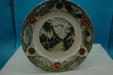 Vintage Florida souvenir collector plate picture