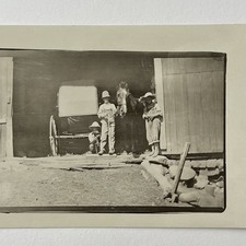 Antique RPPC Real Photograph Postcard Farm Horse Dog Note On Back Everyday Life picture
