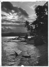 Queensland PNG Shoreline at sunset, with driftwood, waves, trees a - Old Photo picture
