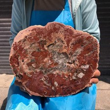 7.32LB Natural Petrified Wood Crystal Fossil Slice Crystal Specimen Healing 6398 picture