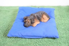 Sandicast Sculpture Scratch S45 with beanie bed. In excellent condition picture