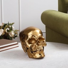 Gold Skull Head Skeleton Decoration Statue SEE  Skeleton Crafts Halloween Style picture
