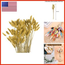 MECCANIXITY 120pcs Natural Rabbit Bunny Tails Dried Flowers 24