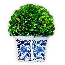 Galt International 11in Preserved Boxwood Ball Blue White Pot Planter Indoor Top picture