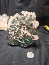 Hampton Butte End Cut Specimen (2lb 7 oz)  picture