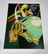 1978 Wonder Woman poster,Original DC Comics pin-up:1970s/JLA all star movie hero picture