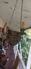 Antique French Jeweled Hanging Lamp With Gargoyle Arms  picture