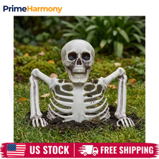 Halloween Realistic Skeleton Decoration Movable Joints Outdoor Yard Party picture